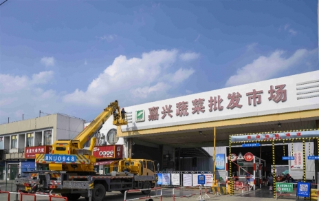 進(jìn)無止境，“嘉農(nóng)?蔬菜人”